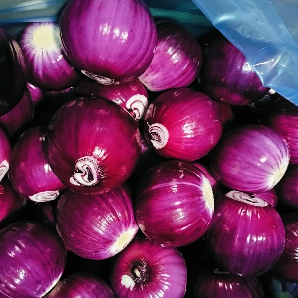 Huaang Food Processing нь тогтвортой чанарын зах зээлд эзлэх хувийг олж авдаг