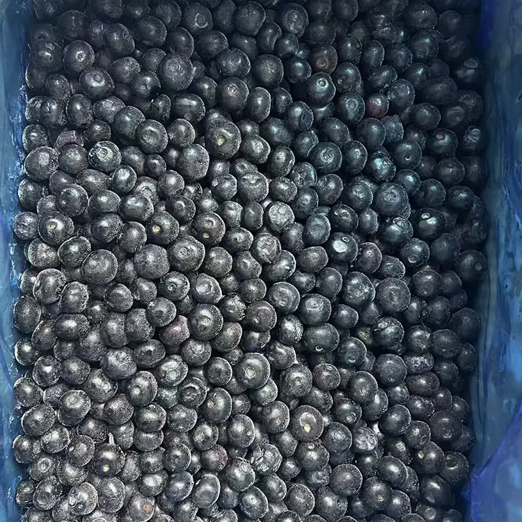 Frozen Blueberry Premium IQF нэрс