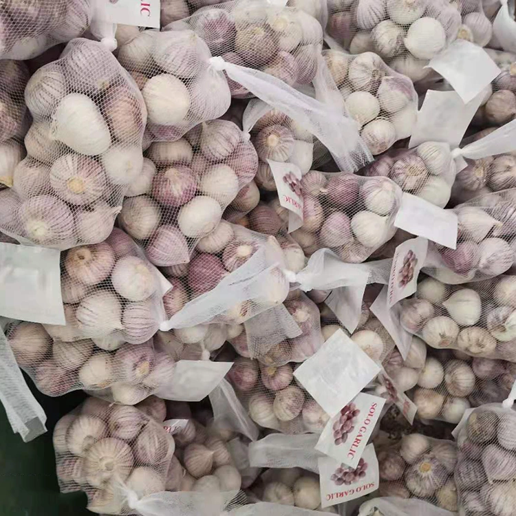 Өндөр чанартай нэг хумс сармис